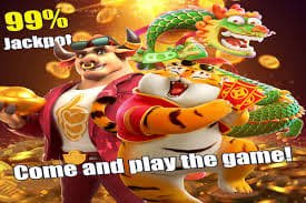 k99 ဘင်ဂို ဂိမ်းကတ်နှင့် ဘောလုံးများ မြင်ကွင်း